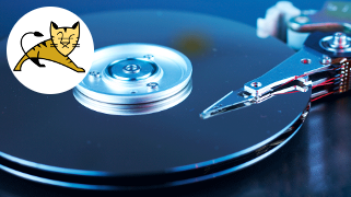 Hosting File System Backup